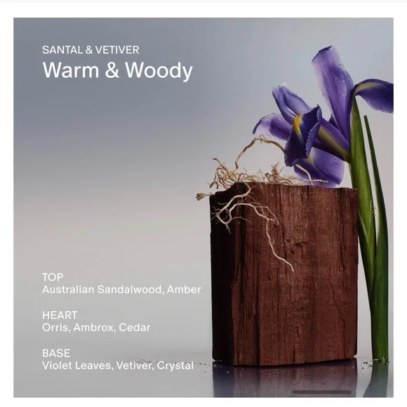 Salt & Stone Santal & Vetiver Body Lotion - Ivory Bottle - Picture 3 of 10